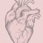 Health + Wellness Series: Heart and Blood